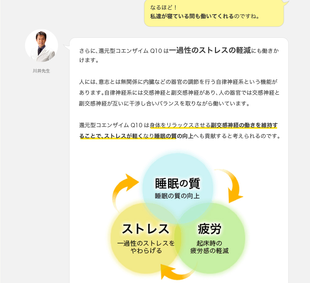 そうなのです。還元型コエンザイムQ10は寝ている間もエネルギーを作り、抗酸化作用を発揮し、起床時の疲労感の軽減や、ぐっすり眠ることや、眠りの深さなどに関わりサポートしています。　なるほど！私達が寝ている間も働いてくれるのですね。　さらに、還元型コエンザイムQ10は一過性のストレスの軽減にも働きかけます。人には、意志とは無関係に内臓などの器官の調節を行う自律神経系という機能があります。自律神経系には交感神経と副交感神経があり、人の器官では交感神経と副交感神経が互いに干渉し合いバランスを取りながら働いています。還元型コエンザイムQ10は身体をリラックスさせる副交感神経の働きを維持することで、ストレスが軽くなり睡眠の質の向上へも貢献すると考えられるのです。